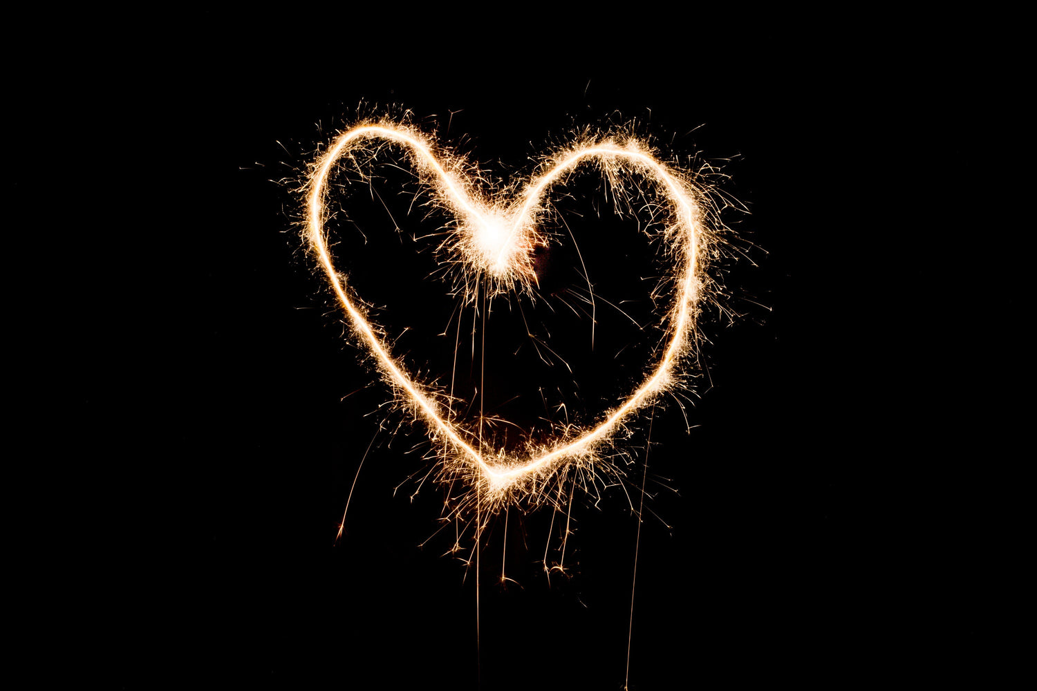 NOS COUPS DE COEURS
